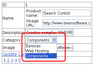 DetailsView control layout when updating an existing record