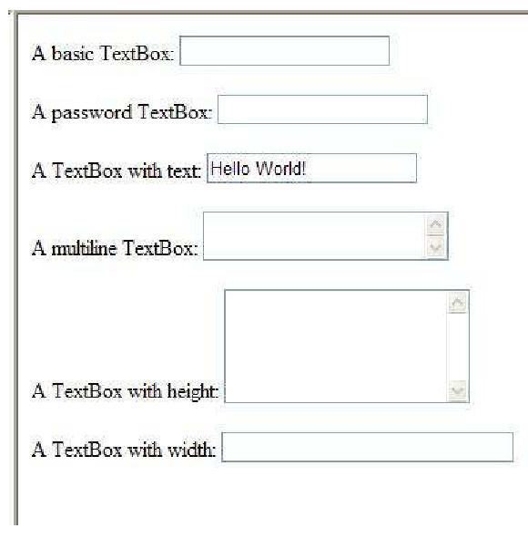 web forms in asp net textbox form